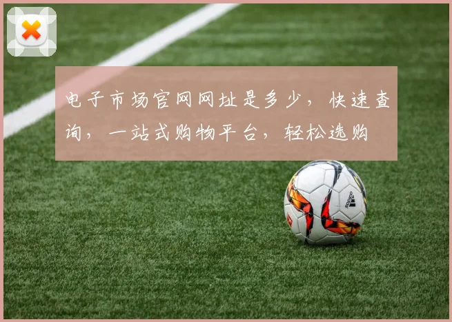 电子市场官网网址是多少，快速查询，一站式购物平台，轻松选购