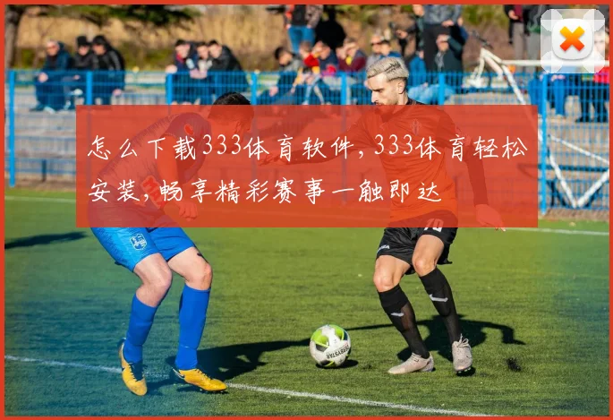 怎么下载333体育软件,333体育轻松安装,畅享精彩赛事一触即达
