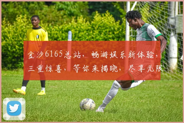 金沙6165总站，畅游娱乐新体验，三重惊喜，等你来揭晓，尽享无限乐趣
